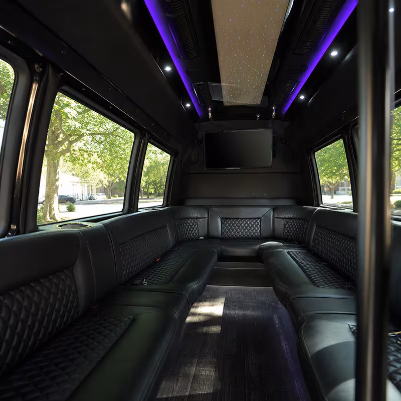 Passenger watching the Washington scenery during a regional party bus road trip