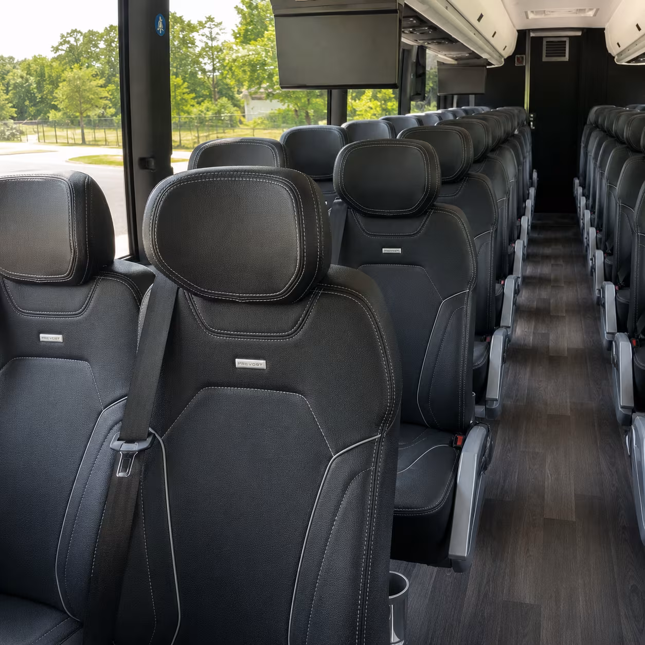 Washington School Event Transportation party bus exterior