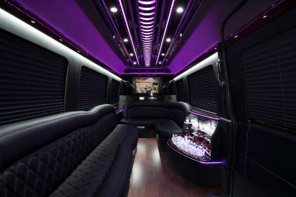 12 Passenger Party Buses Washington