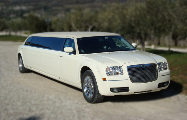 Washington 10 Passenger Limo