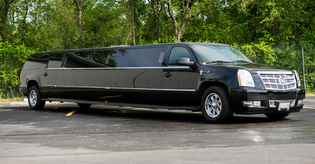 Washington 20 Passenger Limo